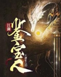 江湖鉴宝人