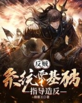 反贼:系统零基础指导造反