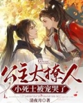 公主太撩人,小死士被宠哭了