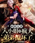 病娇反派大小姐被疯犬弟弟撩坏了