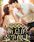 替嫁成婚:靳总的幸孕傻妻