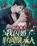 相亲那天,我闪婚了财阀继承人