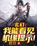 玄幻:我能看见机缘提示!