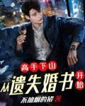 高手下山:从遗失婚书开始