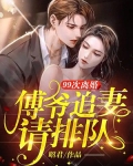 99次离婚:傅爷追妻请排队
