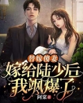 替嫁傻妻:嫁给陆少后我飒爆了
