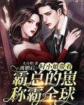 离婚后,时小姐带着霸总的崽称霸全球