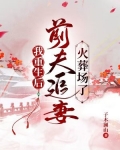 我重生后,前夫追妻火葬场了