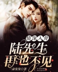 情深入骨:陆先生,再也不见