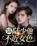 娇妻别跑:陆少他不近女色
