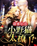 甜蜜招惹:陆总的小野猫太撩了!