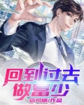 回到过去做富少