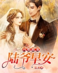 闪婚甜宠:陆爷,早安!