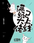 叮,满级大佬已上线!