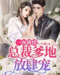 一夜锁情:总裁爹地放肆宠