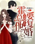 怀崽后,霍总他主动撩上门要复婚