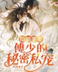 隐婚罪妻:傅少的秘密私宠