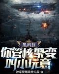 黑科技:你管核聚变叫小玩意
