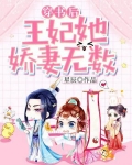 穿书后王妃她娇妻无数