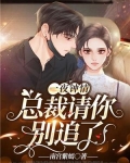 一夜钟情:总裁请你别追了