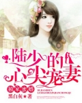 独家蜜婚:陆少的心尖宠妻(又名:独家蜜婚)