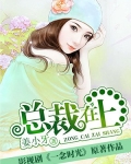 总裁在上(电视剧名:一念时光)