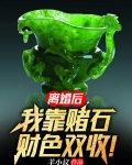 离婚后,我靠赌石财色双收!