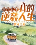 重生九零:我的逆袭人生