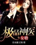 极品神医女婿