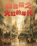 四合院之火红的年代