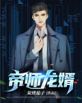 帝师龙婿