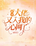 救命!大佬又入我的心网了