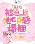 救命!被迫上恋综后她cp感爆棚