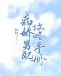 病娇男配攻略手册