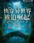 快穿异世界被迫崛起