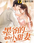 墨爷的闪婚小甜妻
