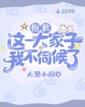 抱歉,这一大家子我不伺候了