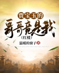 贾宝玉的哥哥竟是我(红楼)