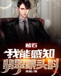 赌石:我能感知翡翠蒙头料