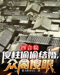 四合院:傻柱偷偷结婚,众禽傻眼
