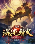 传承混沌神火,我无敌天下!