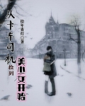 从卡车司机捡到美少女开始