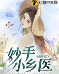 妙手小乡医