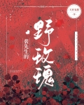裴先生的野玫瑰