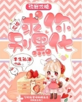 快穿攻略:反派,求你别黑化