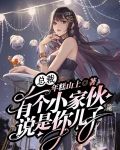 总裁,有个小家伙说是你儿子