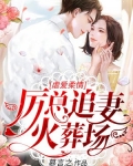 虐爱柔情:厉总追妻火葬场