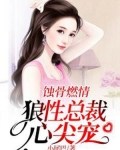 蚀骨燃情:狼性总裁心尖宠