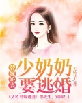 替嫁娇妻:少奶奶要逃婚
