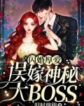 闪婚厚爱:误嫁神秘大BOSS